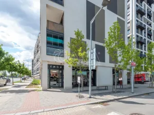 Pronájem bytu 2+kk, Praha - Žižkov, Olgy Havlové, 43 m2