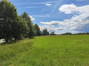 Prodej pozemku pro bydlení, Lužnice, 1549 m2