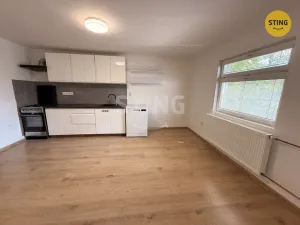 Pronájem bytu 2+1, Návsí, 80 m2