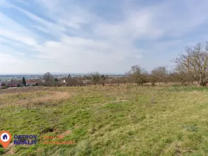 Prodej pozemku pro bydlení, Držovice, 2369 m2
