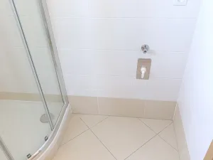 Pronájem bytu 1+kk, Praha, Freiwaldova, 37 m2
