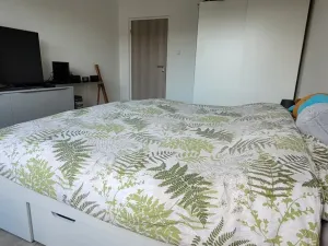 Pronájem bytu 3+kk, Jablonec nad Nisou, Sadová, 59 m2