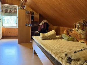 Prodej rodinného domu, Děčín, Loubská, 350 m2