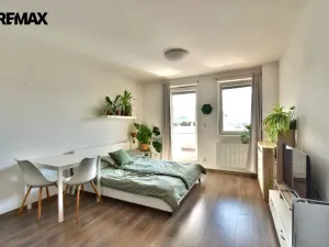Pronájem bytu 1+kk, Hradec Králové - Třebeš, Ve Stromovce, 32 m2