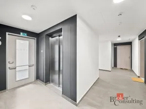 Pronájem bytu 1+kk, Praha - Žižkov, Tetauerova, 29 m2