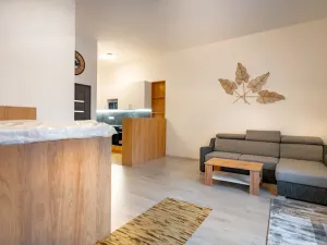 Pronájem bytu 1+kk, Ústí nad Labem - Střekov, Žukovova, 41 m2