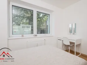 Pronájem bytu 1+kk, Ostrava, Cihelní, 19 m2