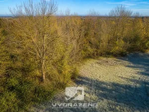 Prodej pozemku pro bydlení, Český Dub, 3139 m2