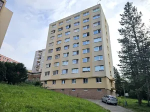 Prodej bytu 2+1, Třebíč - Borovina, Řípovská, 54 m2