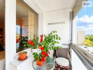 Prodej bytu 3+1, Praha - Kyje, Bajgarova, 64 m2