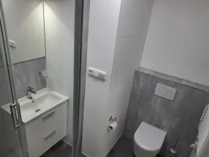 Pronájem bytu 1+kk, Most, Javorová, 35 m2