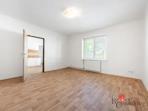 Prodej bytu 1+1, Ostrava - Přívoz, Palackého, 45 m2