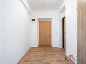 Prodej bytu 1+1, Ostrava - Přívoz, Palackého, 45 m2