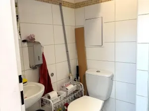 Pronájem obchodního prostoru, Praha - Karlín, Křižíkova, 22 m2