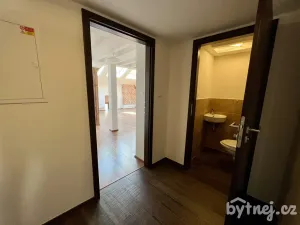 Pronájem bytu 2+kk, Brno - Veveří, Veveří, 65 m2