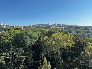 Prodej bytu 2+1, Ústí nad Labem, U Nemocnice, 90 m2