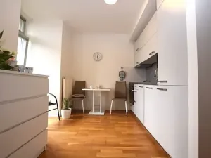 Pronájem bytu 1+kk, Dobříš, U Pivovaru, 30 m2