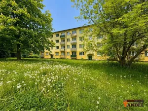Prodej bytu 3+1, Havířov, Karvinská, 62 m2