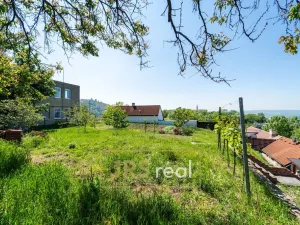 Prodej - jiné, Mikulov, 150 m2