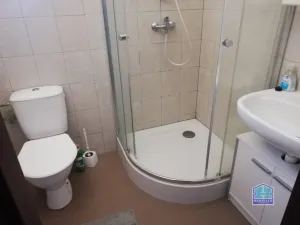 Pronájem bytu 2+1, Stříbro, Alešova, 55 m2