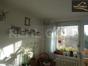 Pronájem bytu 2+1, Třebíč, Novodvorská, 56 m2