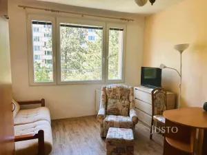 Pronájem bytu 1+kk, Písek - Budějovické Předměstí, 17. listopadu, 19 m2