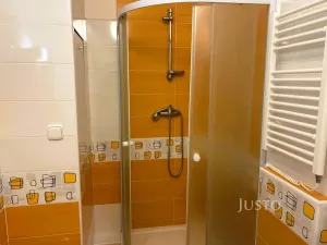 Pronájem bytu 1+kk, Písek - Budějovické Předměstí, 17. listopadu, 19 m2