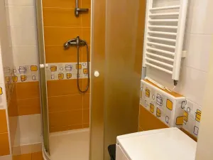 Pronájem bytu 1+kk, Písek - Budějovické Předměstí, 17. listopadu, 19 m2