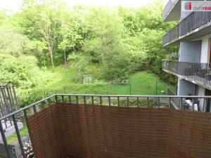 Pronájem bytu 2+kk, Praha - Žižkov, Jeseniova, 60 m2
