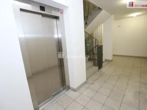 Pronájem bytu 2+kk, Praha - Žižkov, Jeseniova, 60 m2