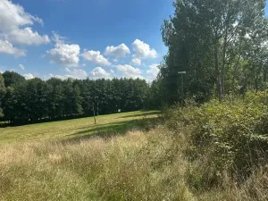 Prodej ubytování, Bílé Poličany, 1000 m2