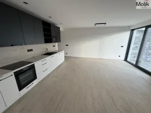 Pronájem bytu 4+kk, Most, Mátová, 97 m2