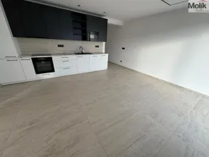 Pronájem bytu 4+kk, Most, Mátová, 97 m2