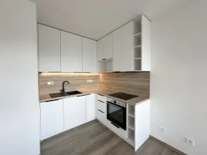 Pronájem bytu 1+kk, Mladá Boleslav - Čejetice, Vodárenská, 29 m2
