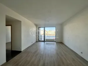 Pronájem bytu 2+kk, Plzeň - Východní Předměstí, Papírnická, 60 m2