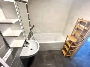 Pronájem bytu 2+kk, Plzeň - Východní Předměstí, Papírnická, 60 m2