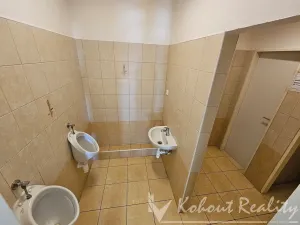 Pronájem kanceláře, Praha - Hloubětín, Nademlejnská, 136 m2