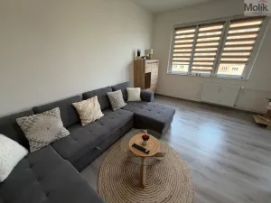 Prodej bytu 2+1, Most, Jaroslava Vrchlického, 54 m2