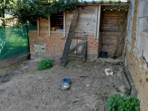 Prodej chalupy, Chotěbudice, 98 m2