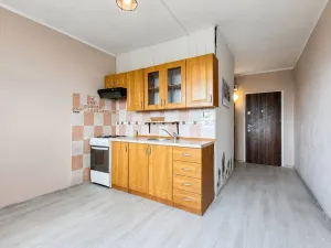 Prodej bytu 1+1, Jirkov, SNP, 39 m2