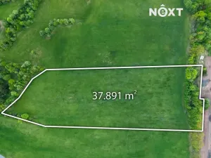 Prodej pole, Vidochov, 38750 m2