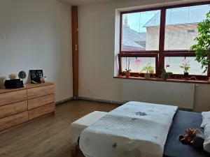 Prodej apartmánu, Ostrava, Zengrova, 397 m2