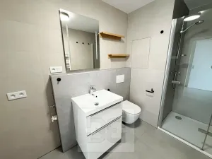 Pronájem bytu 1+kk, Plzeň, Železná, 34 m2
