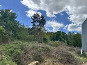Prodej komerčního pozemku, Boršov nad Vltavou, Šumavská, 3633 m2