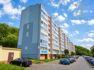 Prodej bytu 4+1, Litvínov - Janov, Luční, 89 m2
