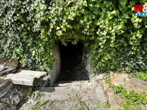 Prodej rodinného domu, Černovice, Dobešovská, 300 m2