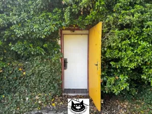 Prodej chaty, Příbram, Hatě, 51 m2