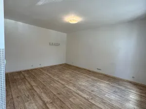 Pronájem bytu 1+kk, České Budějovice, Tylova, 39 m2