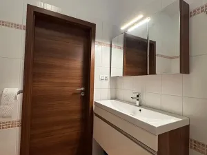 Pronájem bytu 1+kk, České Budějovice, Tylova, 39 m2