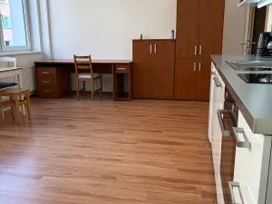 Pronájem bytu 1+kk, Praha - Nusle, Bartoškova, 36 m2